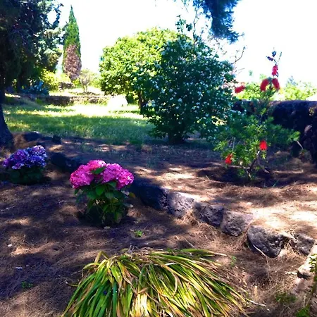 Bonaccorso - Antica E Maestosa Con Piscina Ai Piedi Dell'etna דירה *