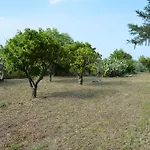 Bonaccorso - Antica E Maestosa Con Piscina Ai Piedi Dell'etna Daire Viagrande