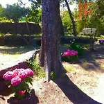 Daire Bonaccorso - Antica E Maestosa Con Piscina Ai Piedi Dell'etna *