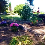 Bonaccorso - Antica E Maestosa Con Piscina Ai Piedi Dell'etna Daire *