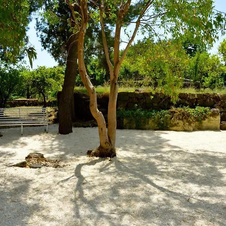 Apartment Bonaccorso - Antica E Maestosa Con Piscina Ai Piedi Dell'etna